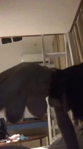 看似文静但是床上非常狂野的G罩杯大奶女友